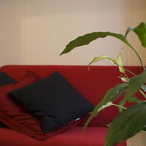 Studio